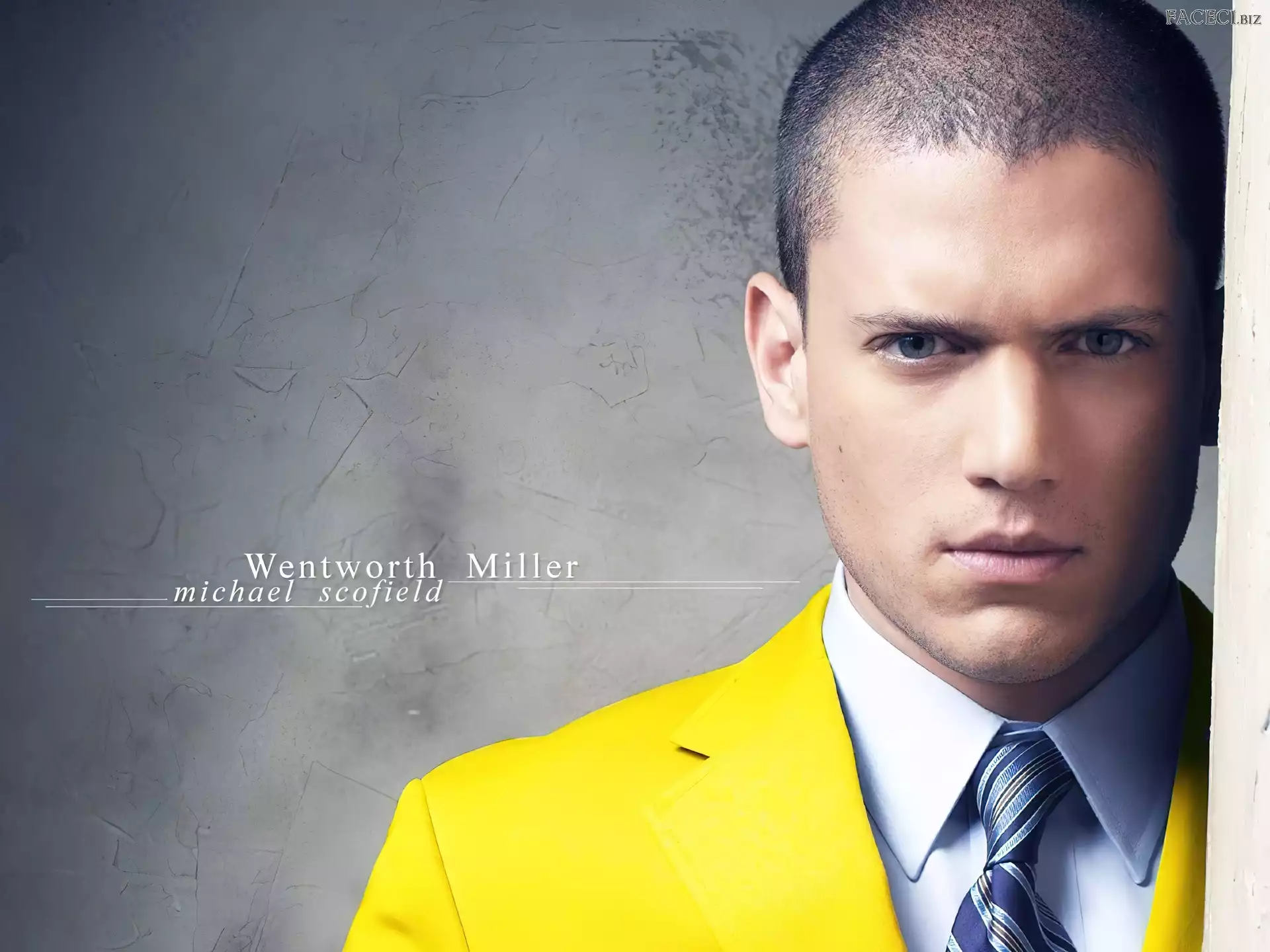 marynarka, żółta, Skazany na śmierć, Prison Break, Wentworth Miller